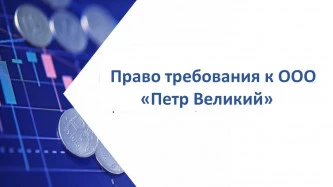 Право требования к ООО «Петр Великий» (ИНН 7825382561) в размере 114 427 495,48 руб.